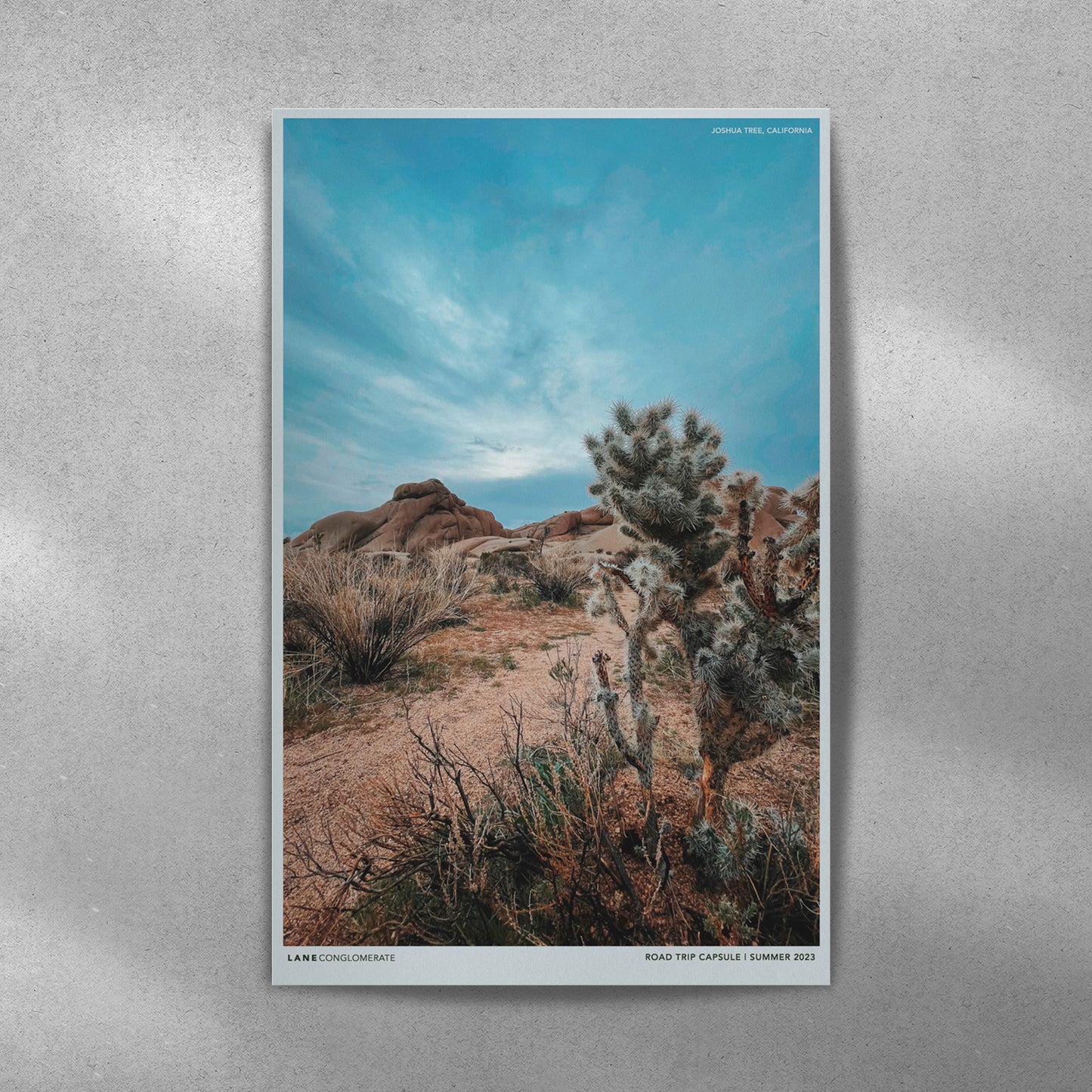 RD TRP Capsule - Snapshot Print “JOSHUA TREE”