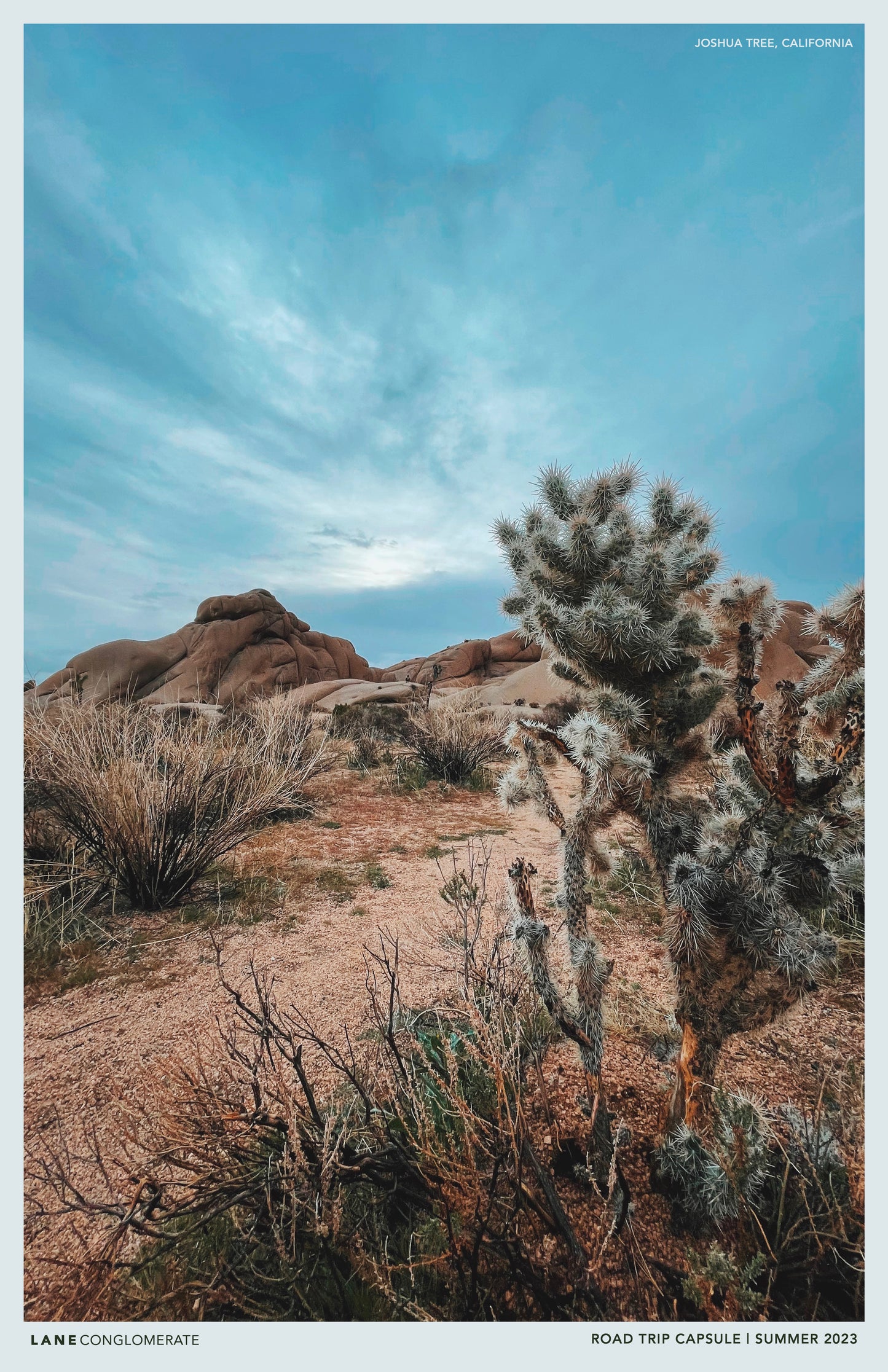 RD TRP Capsule - Snapshot Print “JOSHUA TREE”